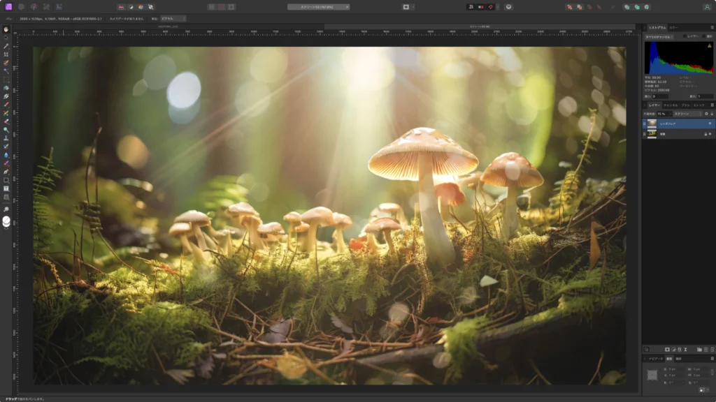 Affinity Photo 2.5 のスクショ