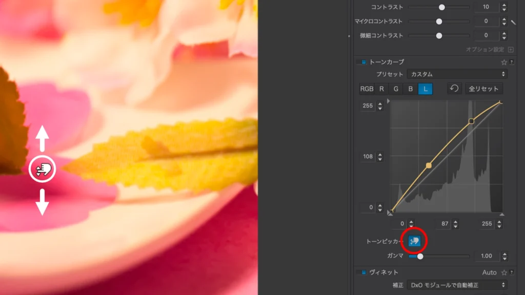 DxO PhotoLab 8 の スクショ