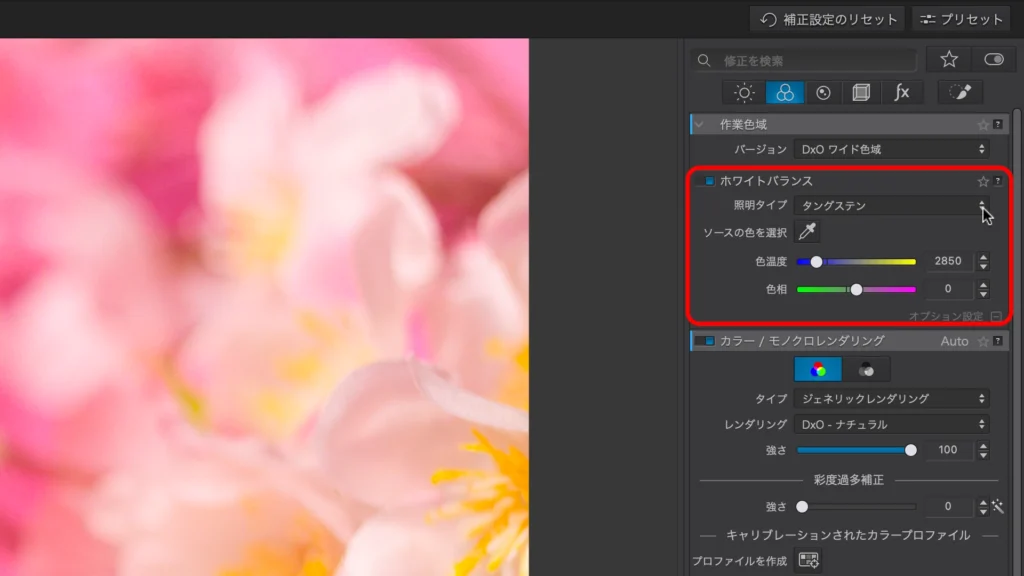 DxO PhotoLab 8 の スクショ