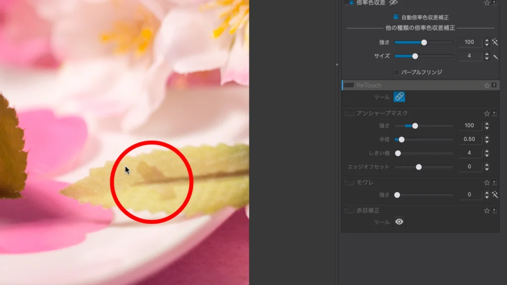 DxO PhotoLab 8 の スクショ